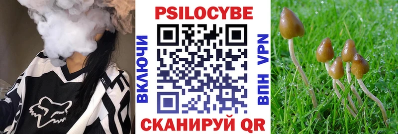 Купить  Чкаловск  Псилоцибиновые грибы прущие грибы 