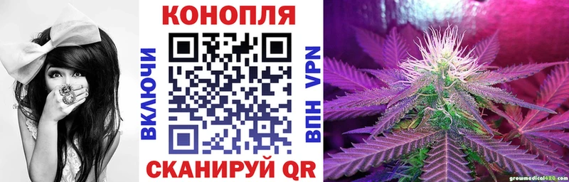 Купить закладки  Чкаловск  Бошки марихуана OG Kush 